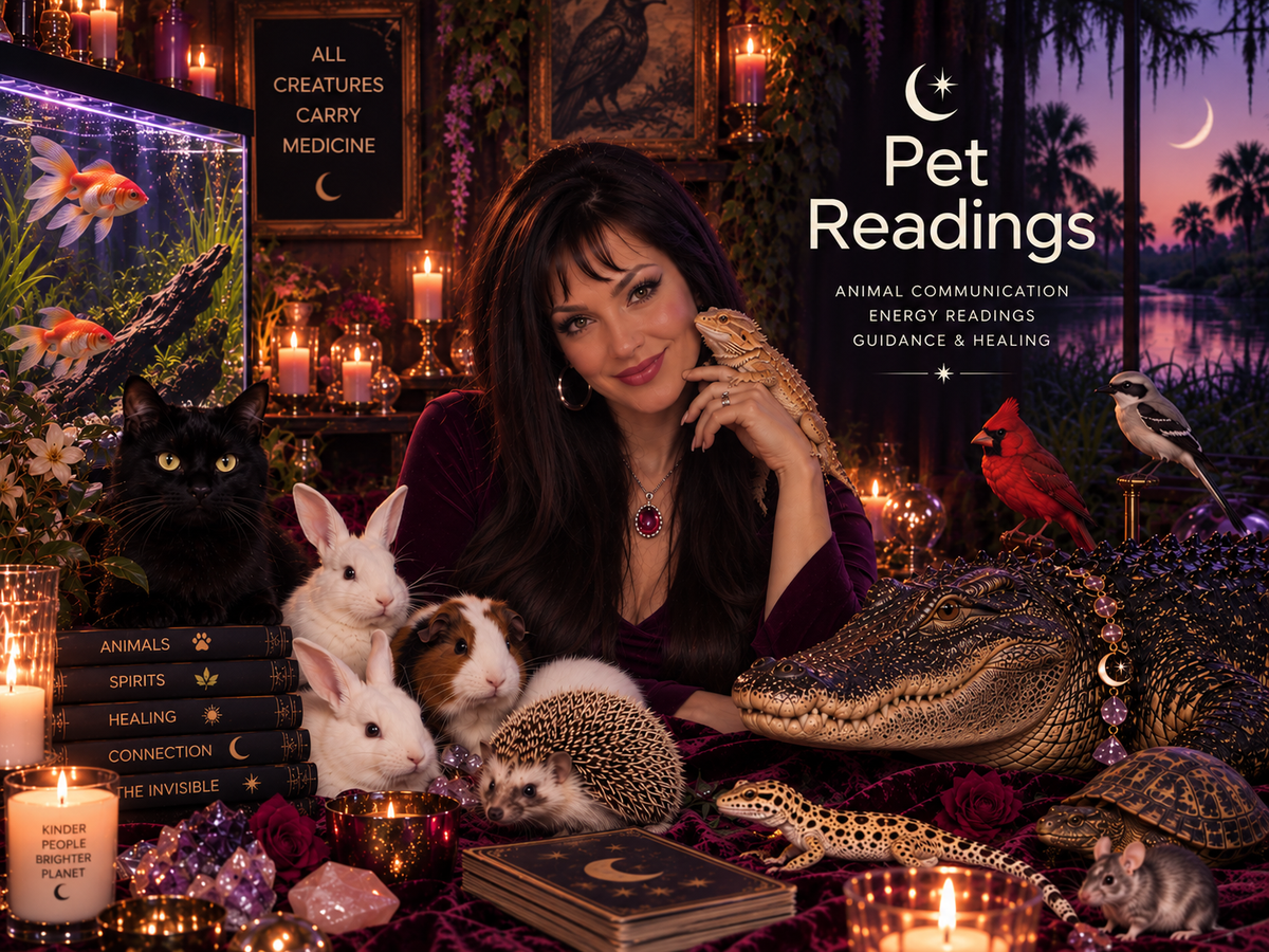 Private: Pet Reading + Energy Healing Candle Working